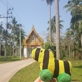 2018 Thailand  2018 Thailan